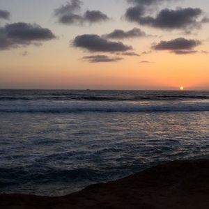 Meet your Posher, Lucilda